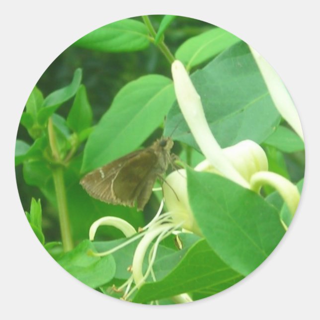 Auf den Aufklebern für Honeysuckle Runder Aufkleber (Vorderseite)