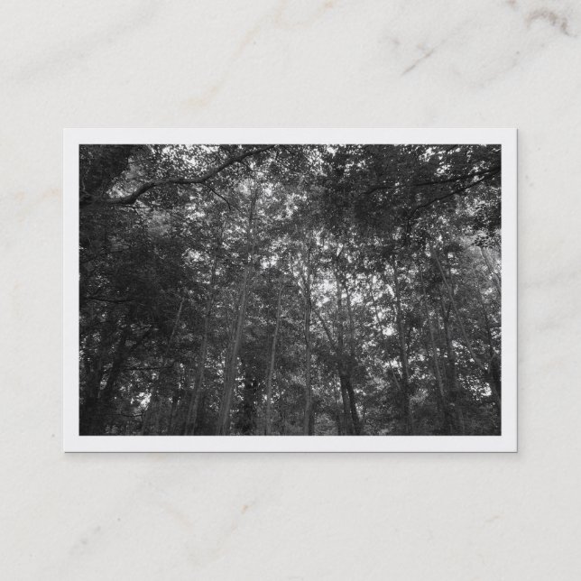 Auf den Bäumen, Mini-Foto Visitenkarte (Vorderseite)