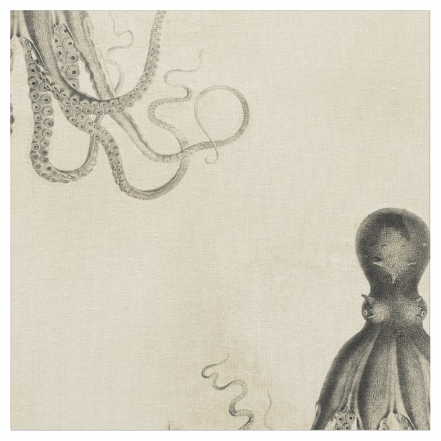 Auf den Strand gesetzte Krake Stoff (Nahaufnahme)