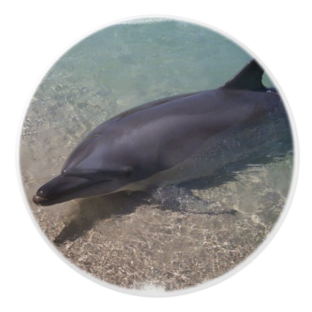 Auf den Strand gesetzter Delphin Keramikknauf (Vorderseite)