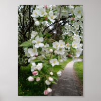 Auf den Zweigen der Blüten