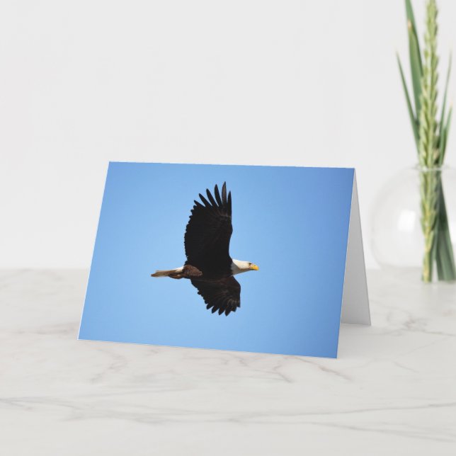 Auf der Adlerwingkarte Karte (Vorderseite)