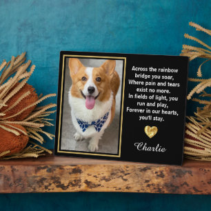 Auf der anderen Seite der Rainbow Bridge Gold Pet Fotoplatte