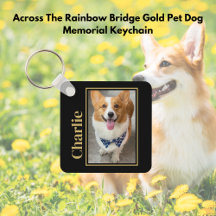 Auf der anderen Seite der Rainbow Bridge Gold Pet