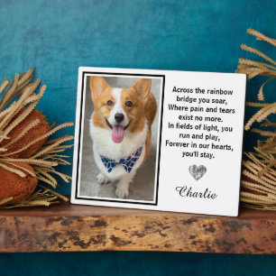 Auf der anderen Seite der Regenbogenbrücke Fotoplatte