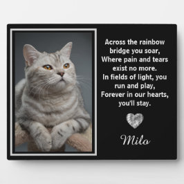 Auf der anderen Seite der Regenbogenbrücke Fotoplatte