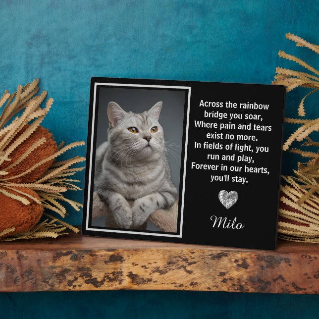 Auf der anderen Seite der Regenbogenbrücke Fotoplatte (Seite)