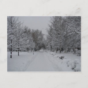 Auf der ganzen Welt in 60 Postkarten. Postkarte