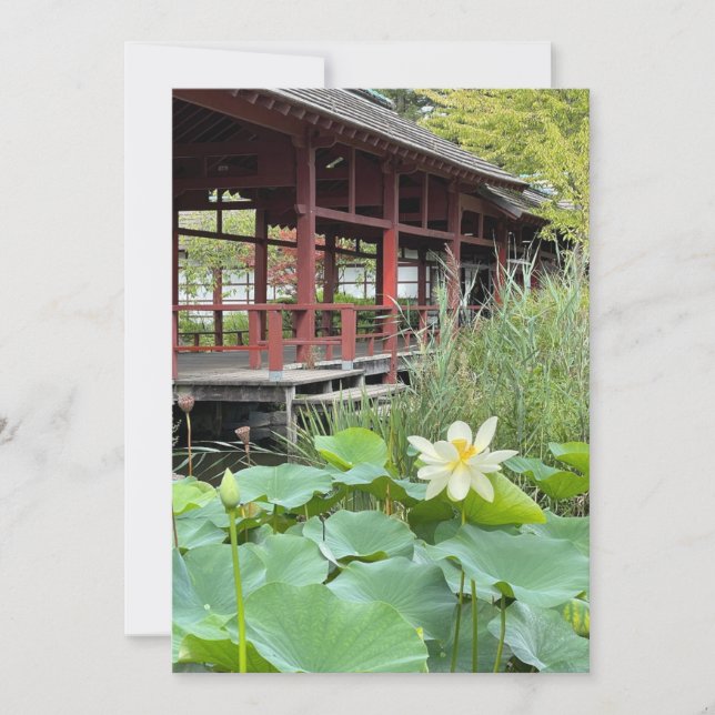 Auf der Insel (Vorderseite)