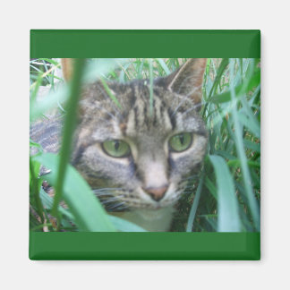 Auf der Jagd Cat Magnet