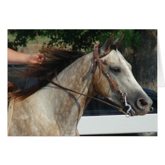 Auf der Pferdeausstellung (Vorderseite (Horizontal))