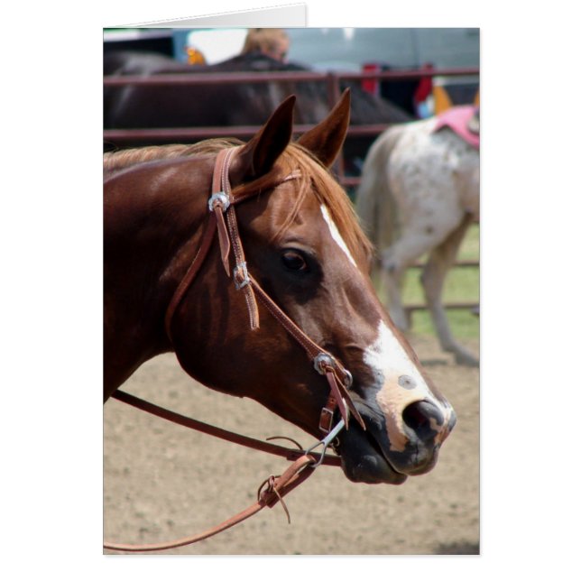 Auf der Pferdeausstellung (Vorne)