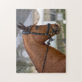 Auf der Pferdeausstellung Puzzle