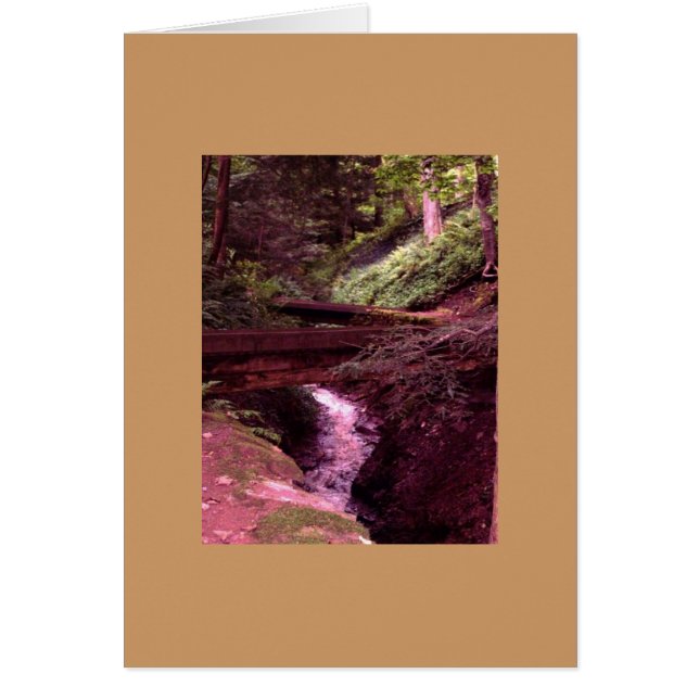 Auf der rechten Pfadkarte (Vorne)