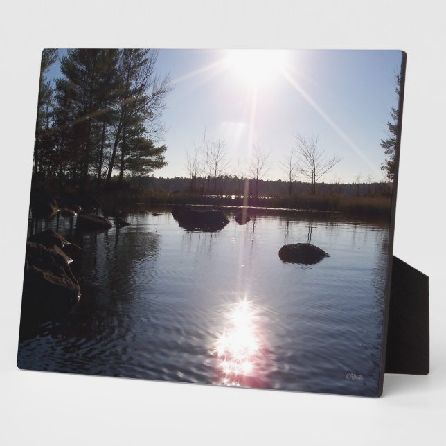 Auf der Seenplatte Fotoplatte (Seite)