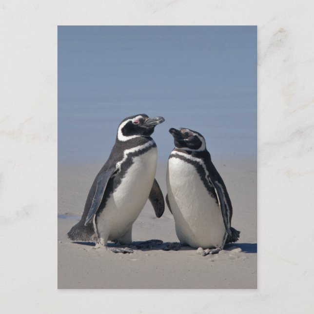 Auf der Strandpostkarte Postkarte (Vorderseite)
