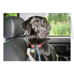 Auf der Straße wieder