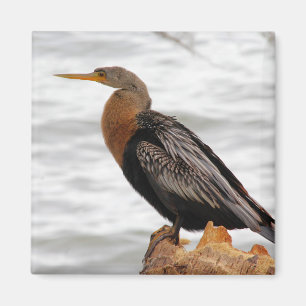 Auf der Suche Magnet