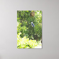 Auf einem Baum stehende Eule