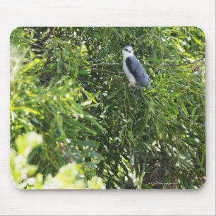 Auf einem Baum stehende Eule Mousepad