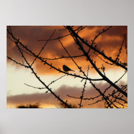 Auf einem Baum stehender Vogel mit Sonnenaufgang h Poster