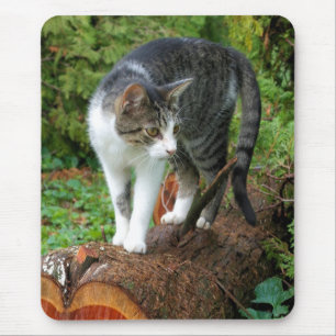Auf einem Cat Walk - Kitty Mousepad