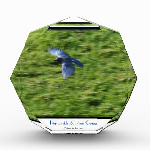 Auf einem grünen Feld steht ein blauer Vogel. Fotoblock