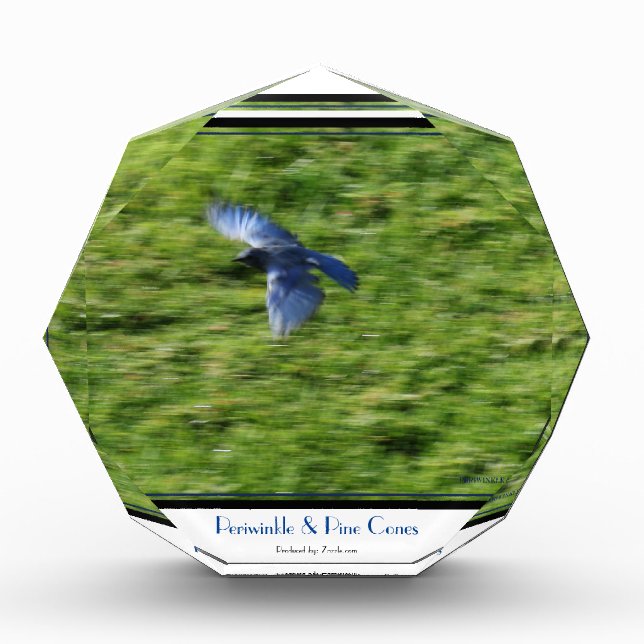 Auf einem grünen Feld steht ein blauer Vogel. Fotoblock (Vorderseite)