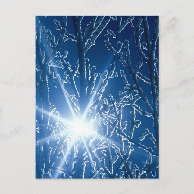 Auf einem schneebedeckten Abend durch Wälder stopp Postkarte (Vorderseite)