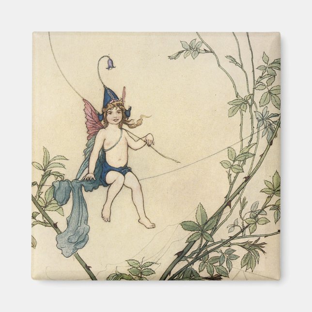 Auf einem Spinnengewirr sitzend Magnet (Vorne)