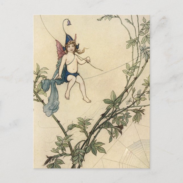 Auf einem Spinnengewirr sitzend Postkarte (Vorderseite)