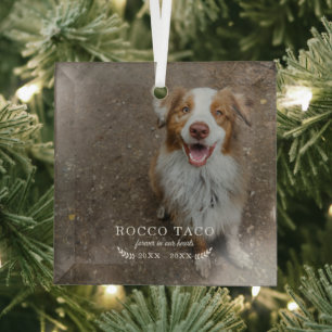 Auf Ewig in Unseren Herzen   Foto-Tiergedächtnis Ornament Aus Glas