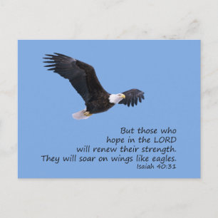 Auf Flügeln wie Adlerpostkarte Postkarte