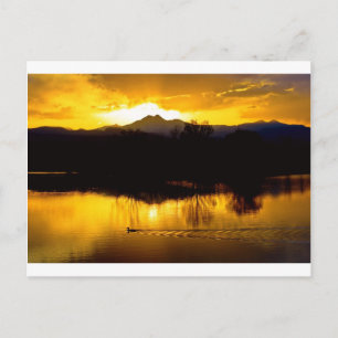 Auf goldenen Teichen Postkarte