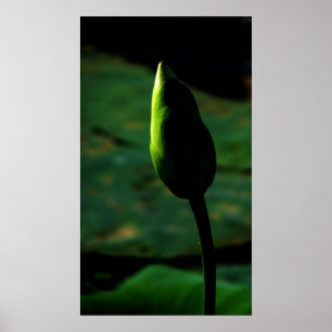 Auf Größe eingestellt Poster