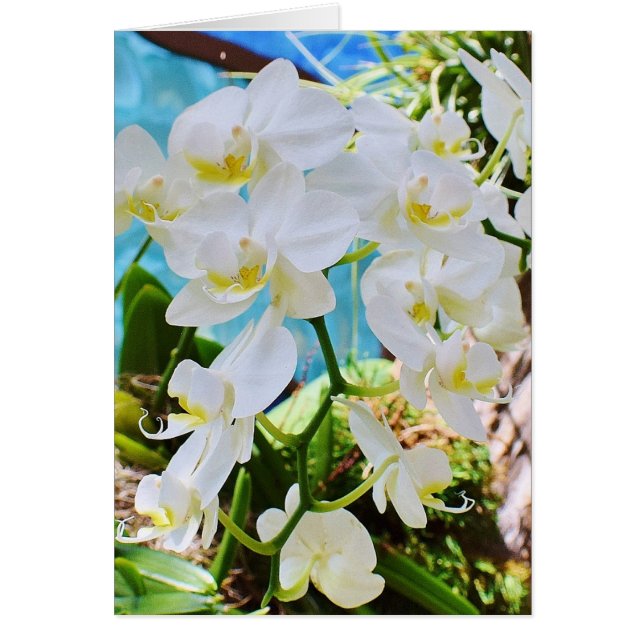 Auf Ihrer gemeinsamen Hochzeitskarte (Vorne)