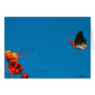 AUF KURZEM SCHLUSS 3 am 2. November 06