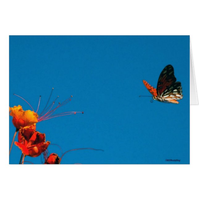 AUF KURZEM SCHLUSS 3 am 2. November 06 (Vorderseite (Horizontal))