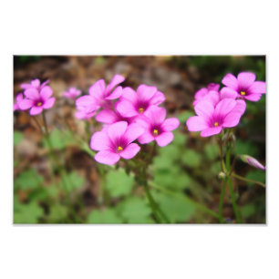 Auf meinem Haustür-Foto drucken Fotodruck