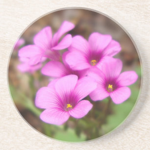 Auf meinem Haustür-Untersetzer Untersetzer