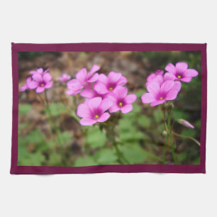 Auf meinem Küchentuch vor der Tür