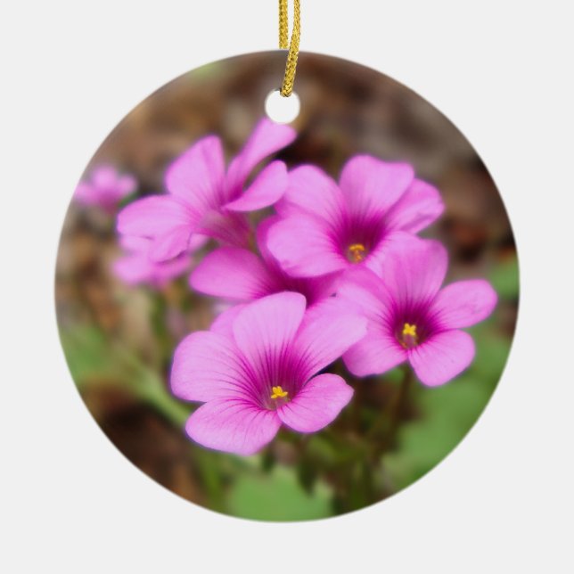 Auf meinem Türschmuck Keramikornament (Vorne)