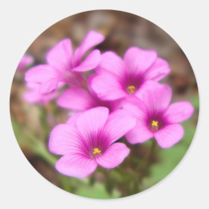 Auf meinen Türschreibern Runder Aufkleber