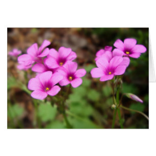 Auf meiner Türschrittkarte