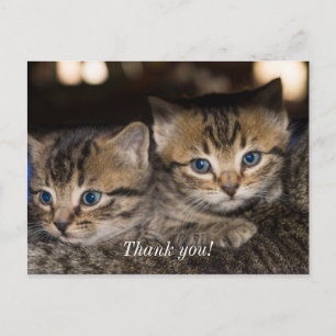 Auf Mommas Rücken danke Ihnen Postkarte