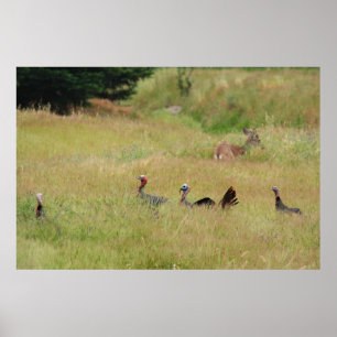 "Auf Patrouille" Poster