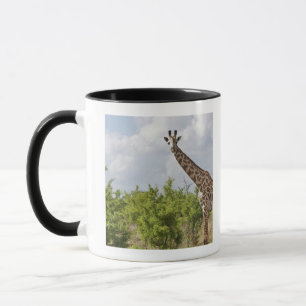 Auf Safari in Tansania, Afrika. 2 Tasse