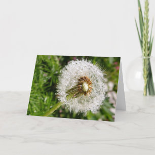 Auf Samen gehen Karte