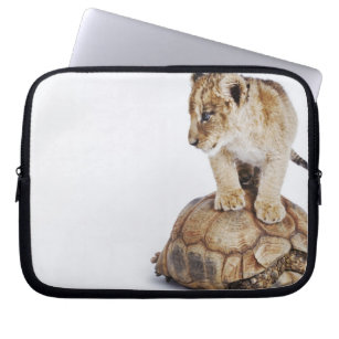 Auf Schildkröte stehender Löwe, weißer Hintergrund Laptopschutzhülle