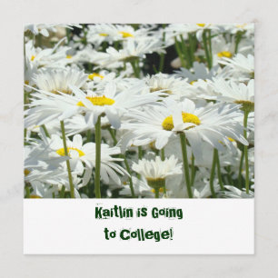 Auf Uni Abschiedliche Party Einladungen Daisy